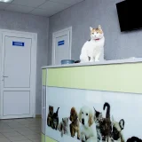 Ветеринарная клиника Живой Мир Фото 2 на проекте VetSpravka.ru